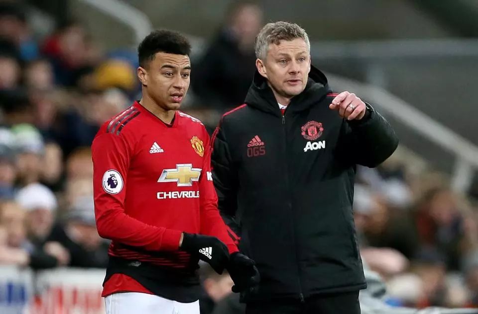 的适应不需 的适应不需